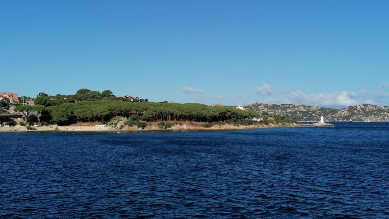 Appartamento Incantevole Con Piscina Palau Εξωτερικό φωτογραφία